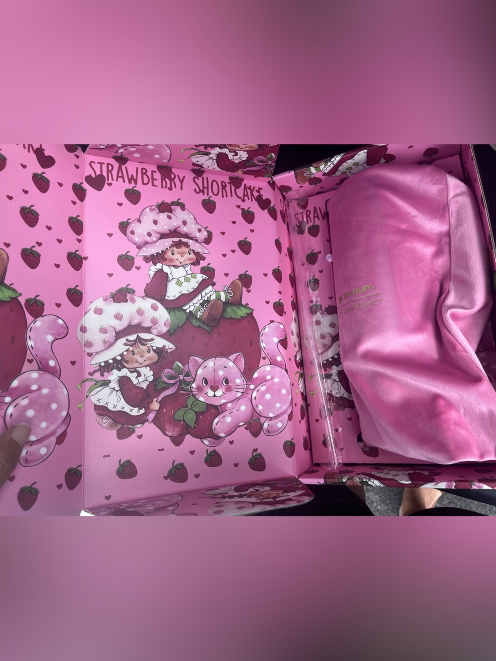Strawberry Shortcake x Stanley quencher water bottle cup loveshackfancy gift box - Picture 3 of 5